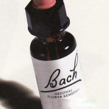Bach Rock Water, 20 ml